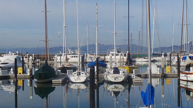 veleros